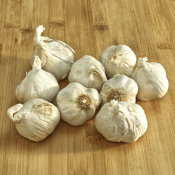 Garlic