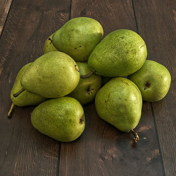 Anjou Pears