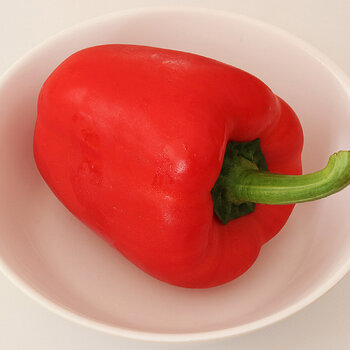 Capsicum s.jpg