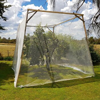 Pear tree netting