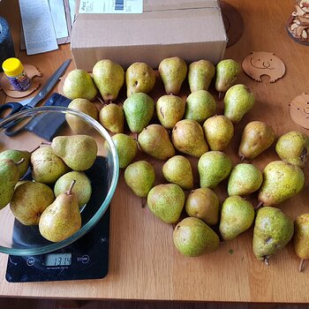 6.5kg of pears