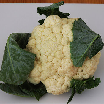 Cauliflower s.jpg