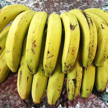 Bananas April s.jpg