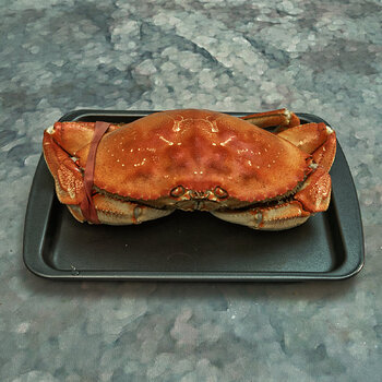 Cooked Dungeness Crab