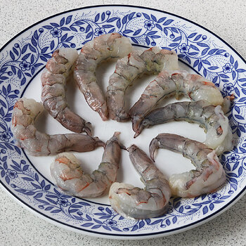 Freshwater prawns s.jpg