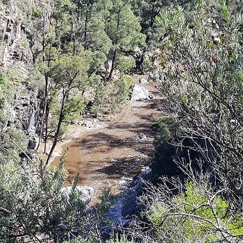 Bungonia National Park