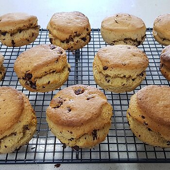 Homemade Chocolate Chip Scones