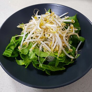 Vegan Laksa Lemak