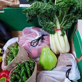 Weekly shop right ½ of box
