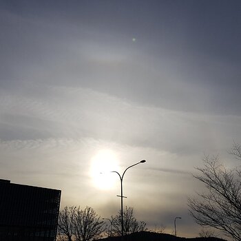 Parhelian or Sundog