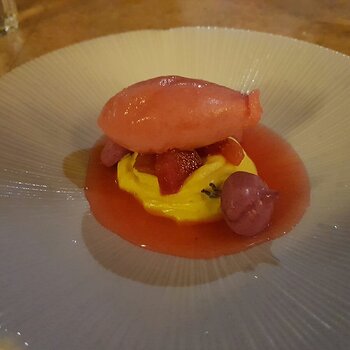 Raspberry sorbet on a vanilla custard with a berry coullie