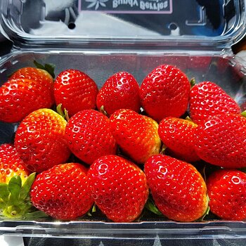 Strawberries all to myself