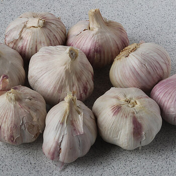 garlic loose s.jpg
