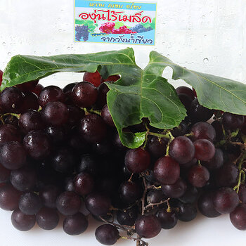 Fish egg grapes s.jpg