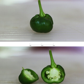 First fruit.jpg