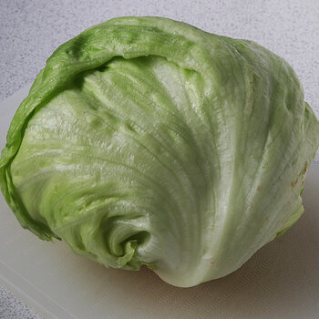 Lettuce s.jpg