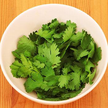 Coriander s.jpg