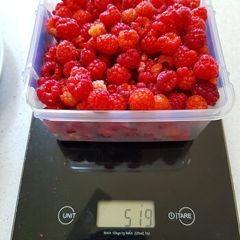 ½kg of homegrown raspberries
