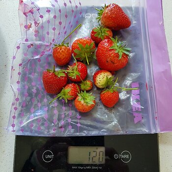 A handful of strawberries