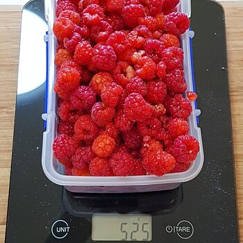 Another +½kg of homegrown raspberries