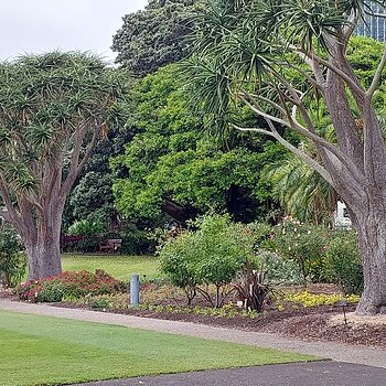 Sydney Botanical Gardens