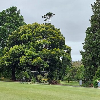 Sydney Botanical Gardens