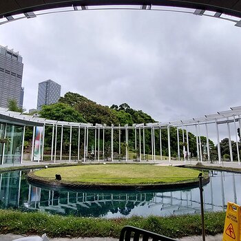 Sydney Botanical Gardens from a café