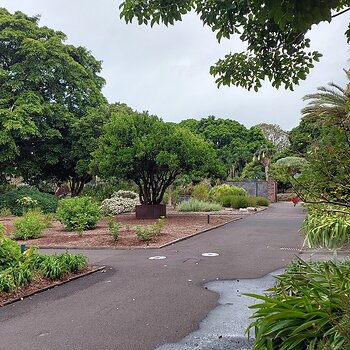 Sydney Botanical Gardens