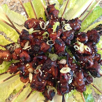 Grilled Teriyaki Chicken Skewers