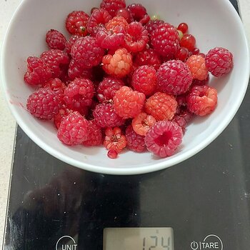 Possibly the last of the raspberries this summer