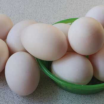 Duck eggs s.jpg