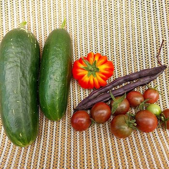 Raided the veg plot