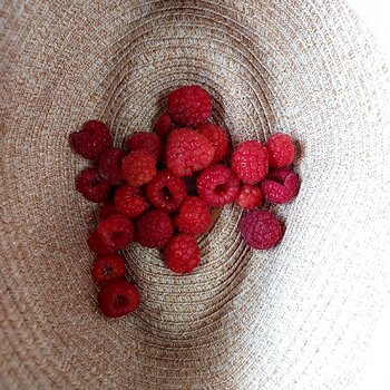 Raspberries