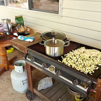 Courgette and onion on the BBQ