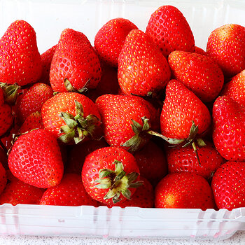 Strawberries 1 s.jpg