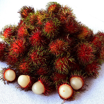 Rambutan s.jpg