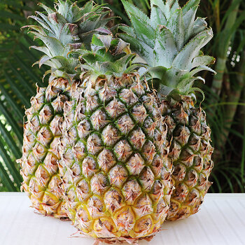 Pineapple s.jpg