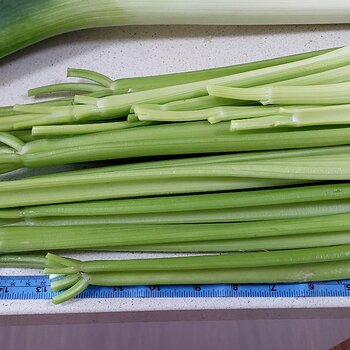 1 head of celery, trimmed