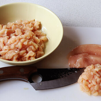 Chopped chicken s.jpg