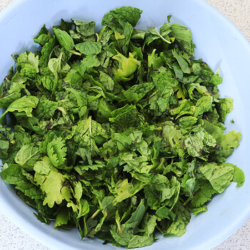 Mint-coriander s.jpg