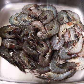 Prawns s.jpg