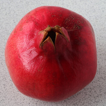 Pomegranite s.jpg