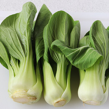 Bok choy s.jpg