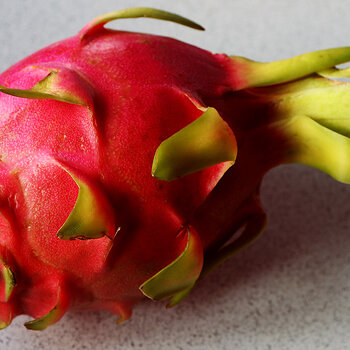 Dragonfruit-7 s.jpg