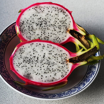 Dragonfruit-8 s.jpg