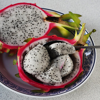 Dragonfruit-9 s.jpg