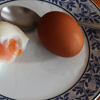 soft boiled 1 s.jpg