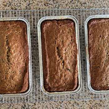 Media 'My Kind Of Zucchini/Courgette Bread' in album 'My Personal Entries'