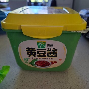 Fermented(?) Soybean Paste (Chinese)