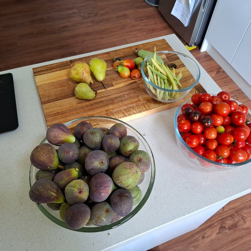 figs, tomatoes, beans, courgettes and pears